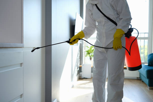 Home Mold Removal in Grundy, VA